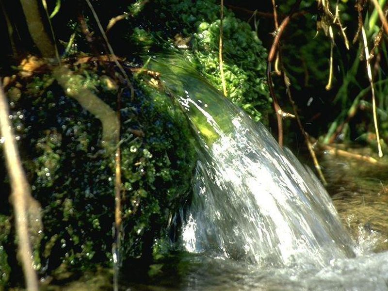 Wasserwirtschaft – Quelle